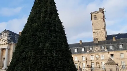 Les infos qu’il ne fallait pas rater cette semaine en Côte d’Or 